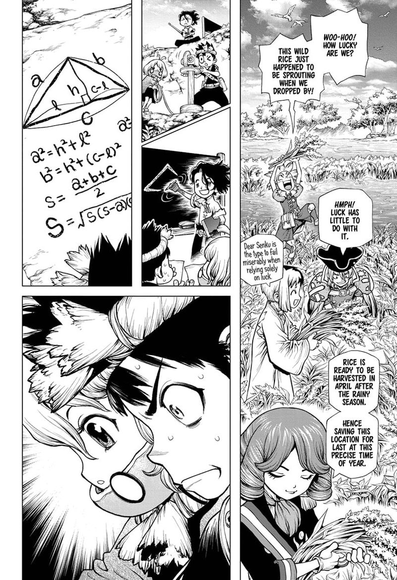 Dr Stone Chapter 211 Page 8