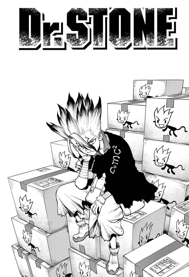 Dr Stone Chapter 222 Page 5