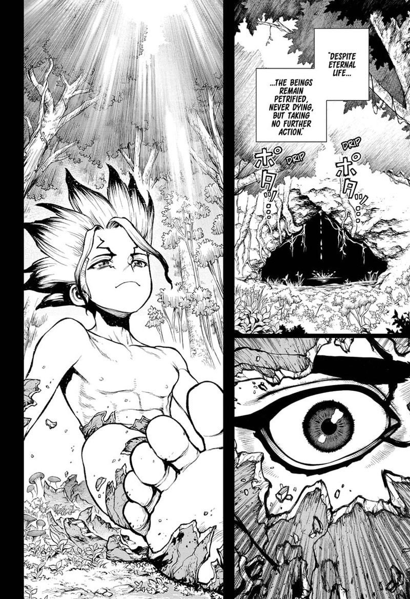 Dr Stone Chapter 229 Page 13