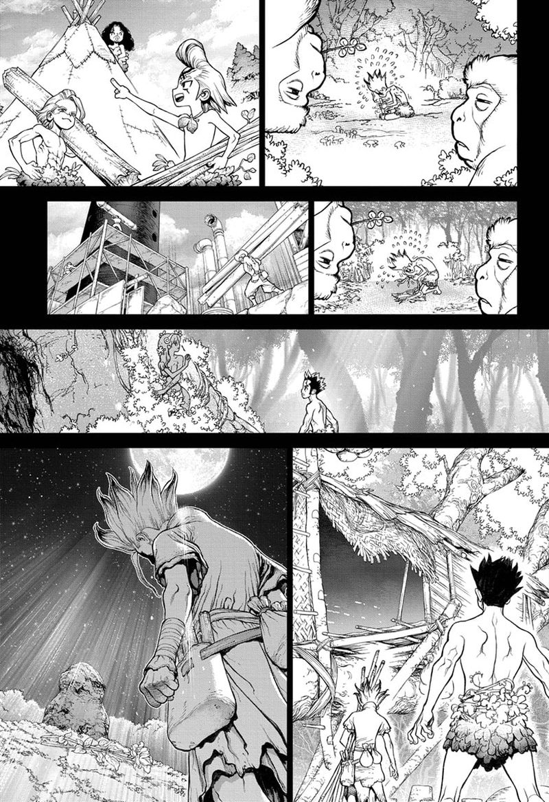 Dr Stone Chapter 229 Page 14