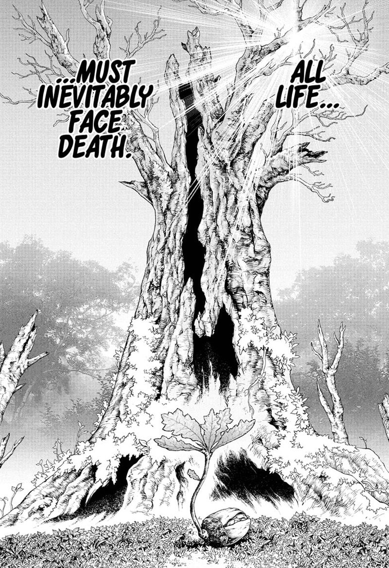 Dr Stone Chapter 230 Page 1