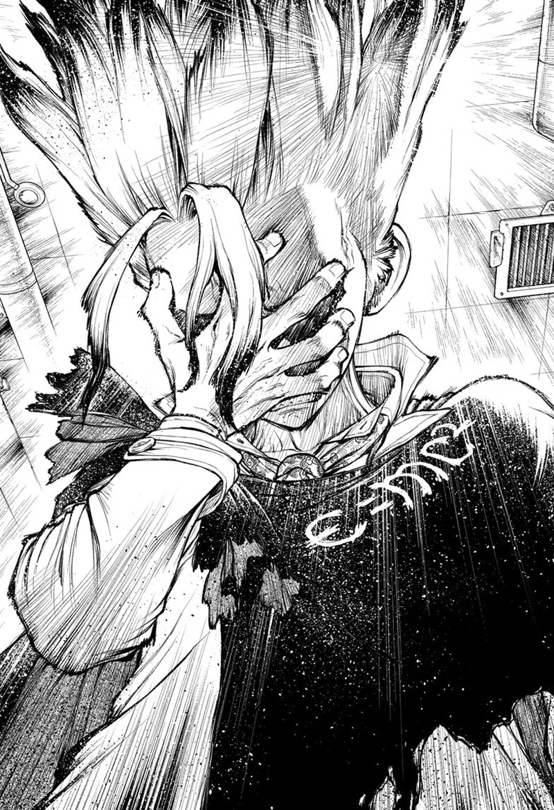 Dr Stone Chapter 232h Page 17