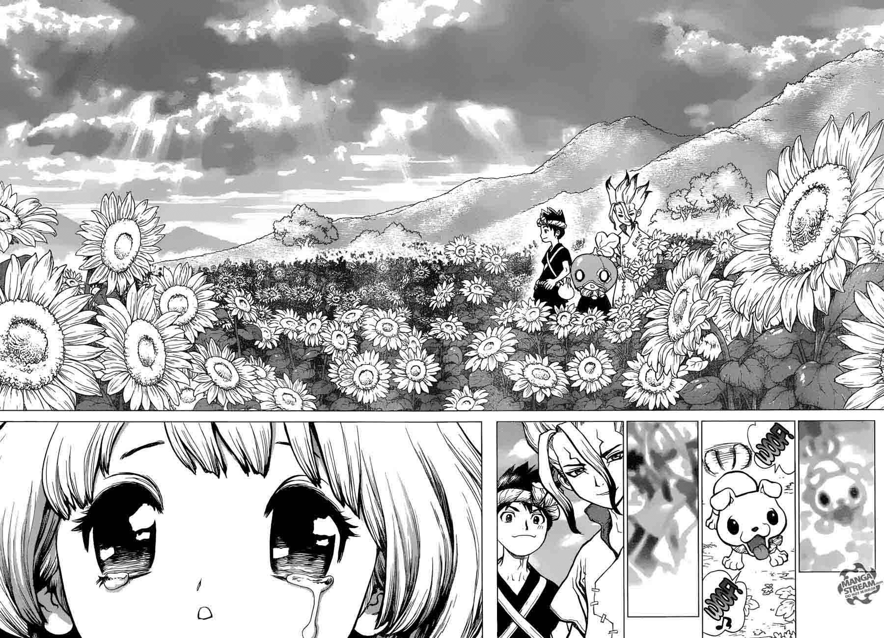 Dr Stone Chapter 28 Page 14