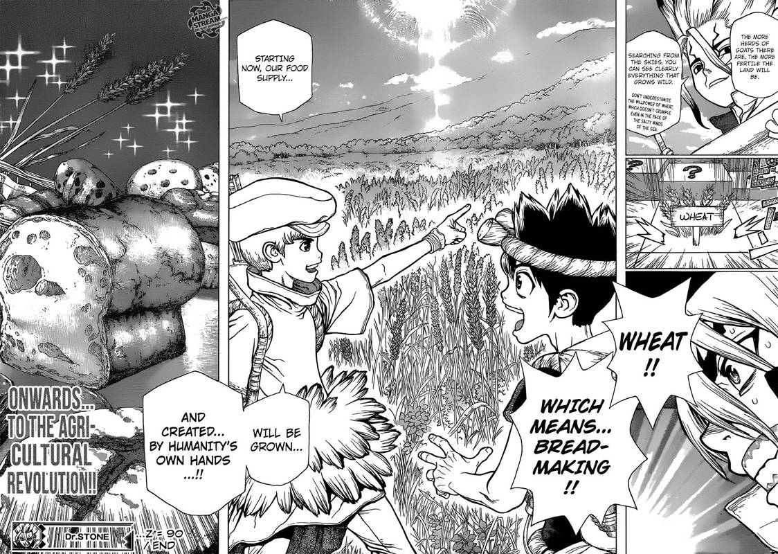 Dr Stone Chapter 90 Page 17