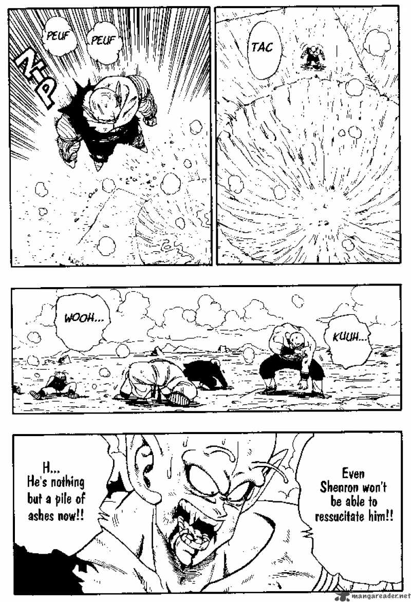 Dragon Ball Chapter 193 Page 5