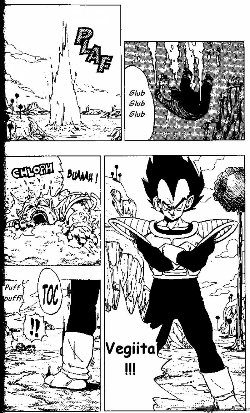 Dragon Ball Chapter 256 Page 14