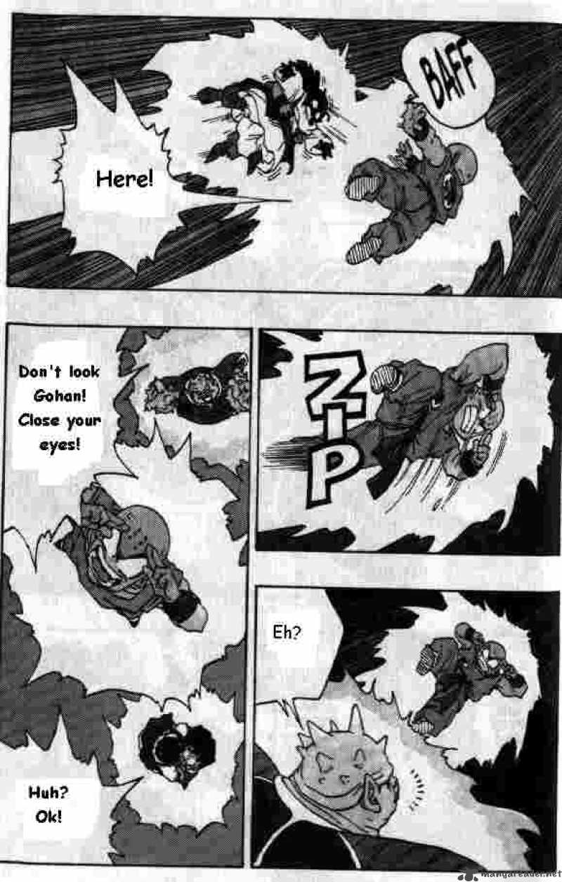 Dragon Ball Chapter 256 Page 3