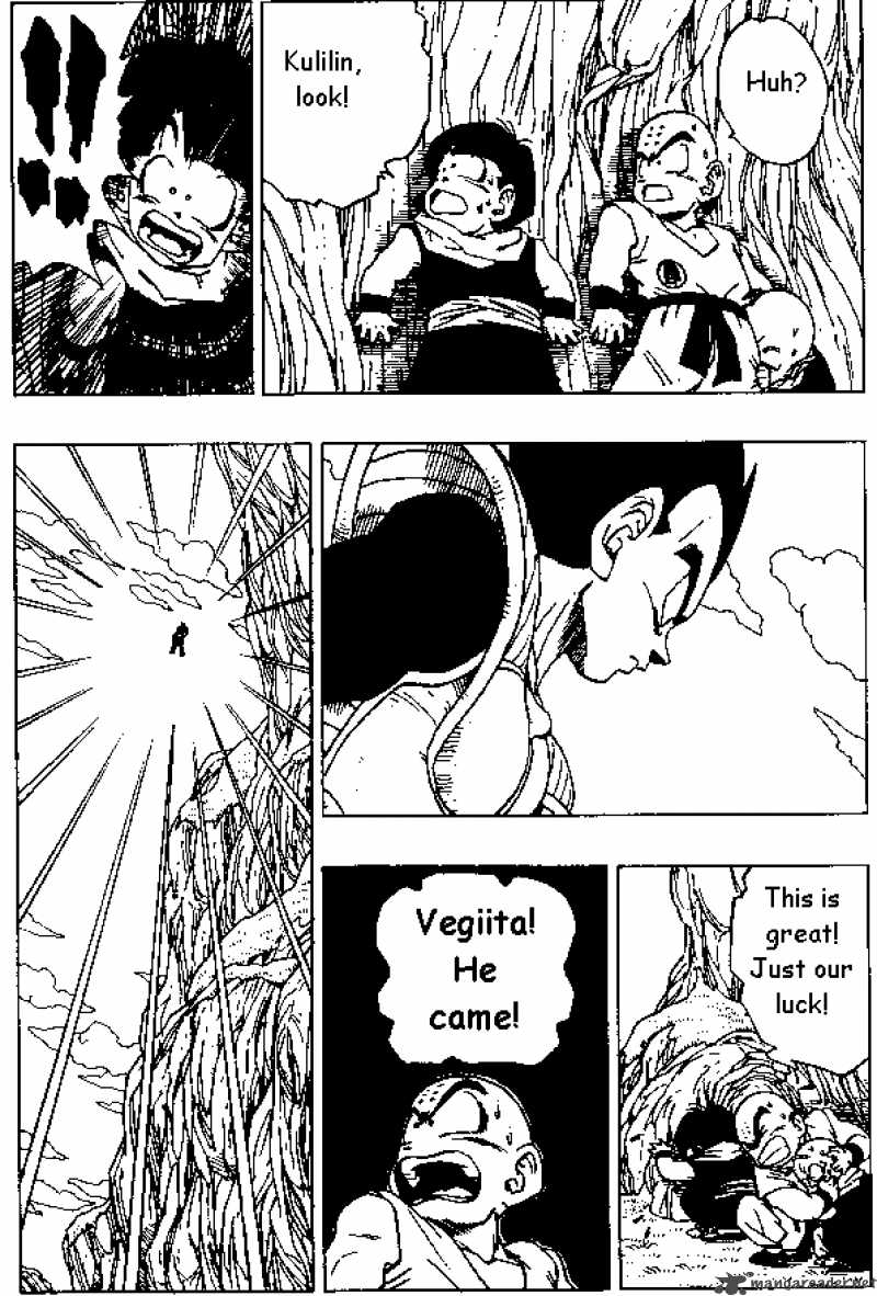 Dragon Ball Chapter 258 Page 5