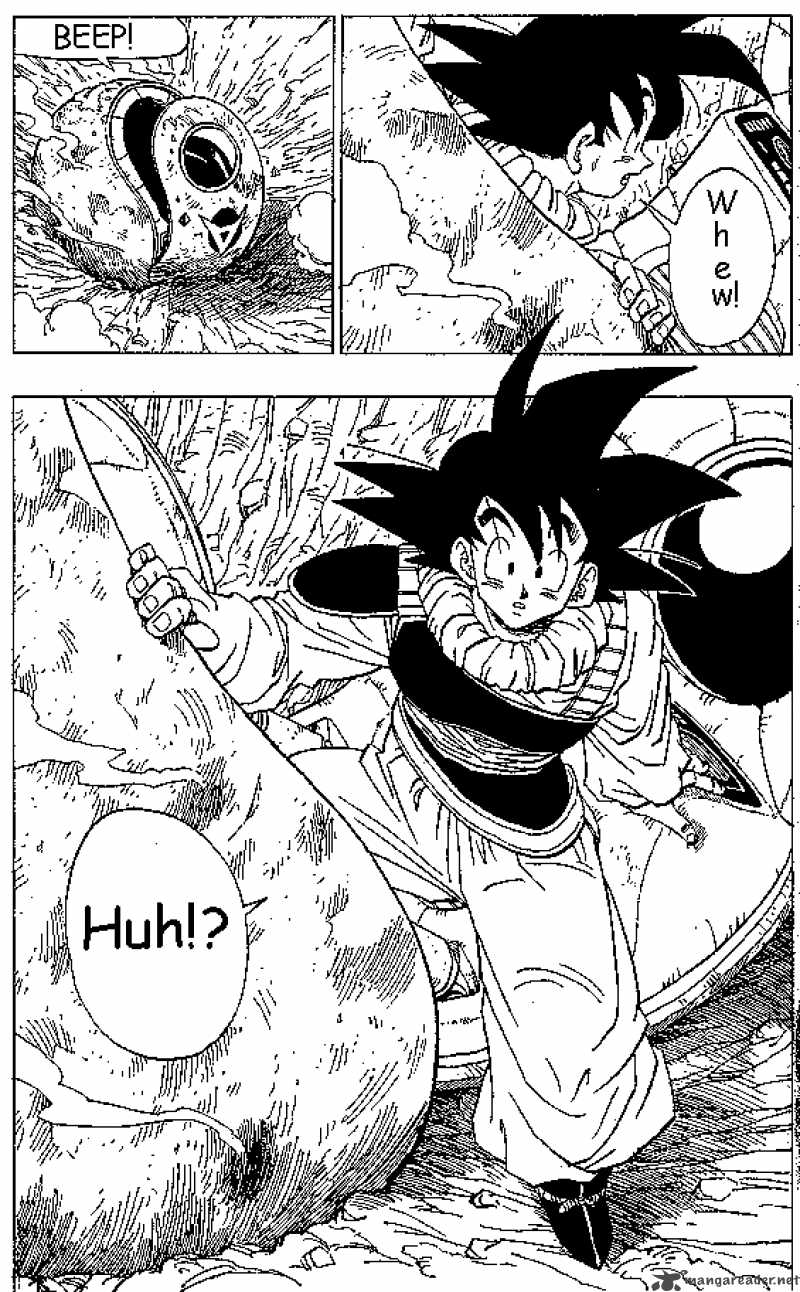 Dragon Ball Chapter 333 Page 13