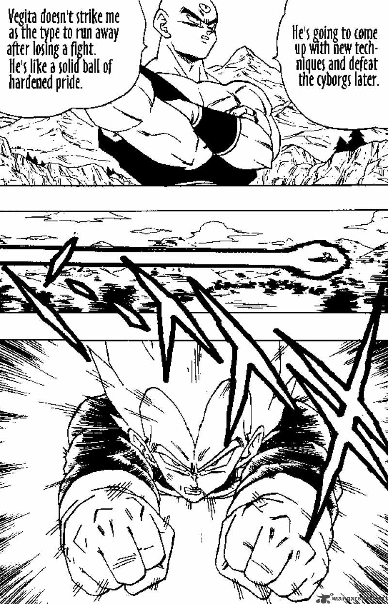 Dragon Ball Chapter 355 Page 13