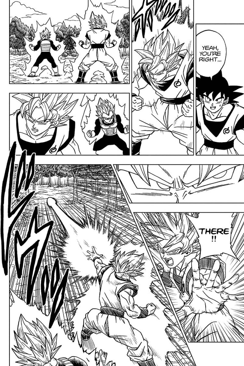 Dragon Ball Super Chapter 72 Page 16
