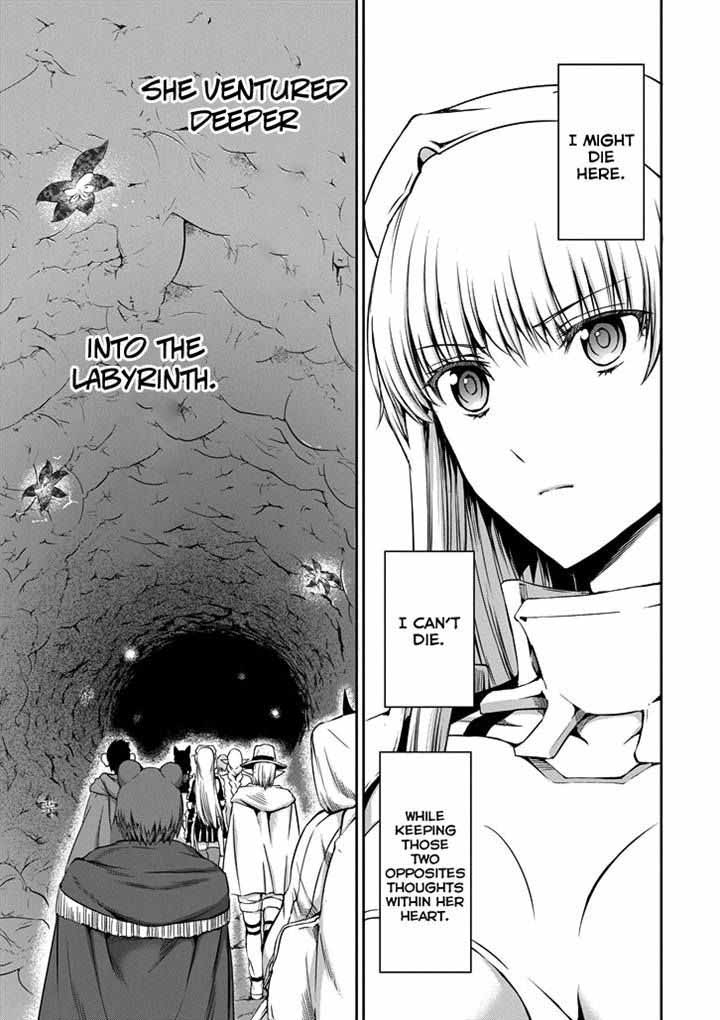 Dungeon Ni Deai Wo Motomeru No Wa Machigatte Iru Darou Ka Gaiden Sword Oratoria Chapter 21 Page 17