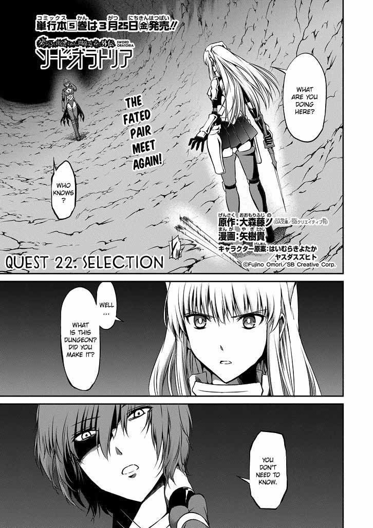 Dungeon Ni Deai Wo Motomeru No Wa Machigatte Iru Darou Ka Gaiden Sword Oratoria Chapter 22 Page 3