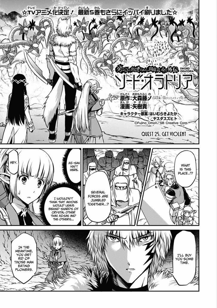Dungeon Ni Deai Wo Motomeru No Wa Machigatte Iru Darou Ka Gaiden Sword Oratoria Chapter 25 Page 3