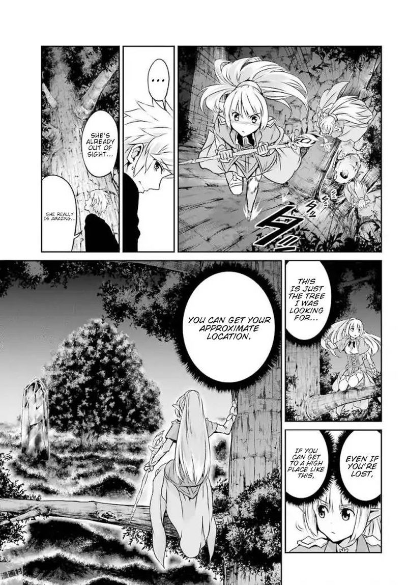 Dungeon Ni Deai Wo Motomeru No Wa Machigatte Iru Darou Ka Gaiden Sword Oratoria Chapter 46 Page 15