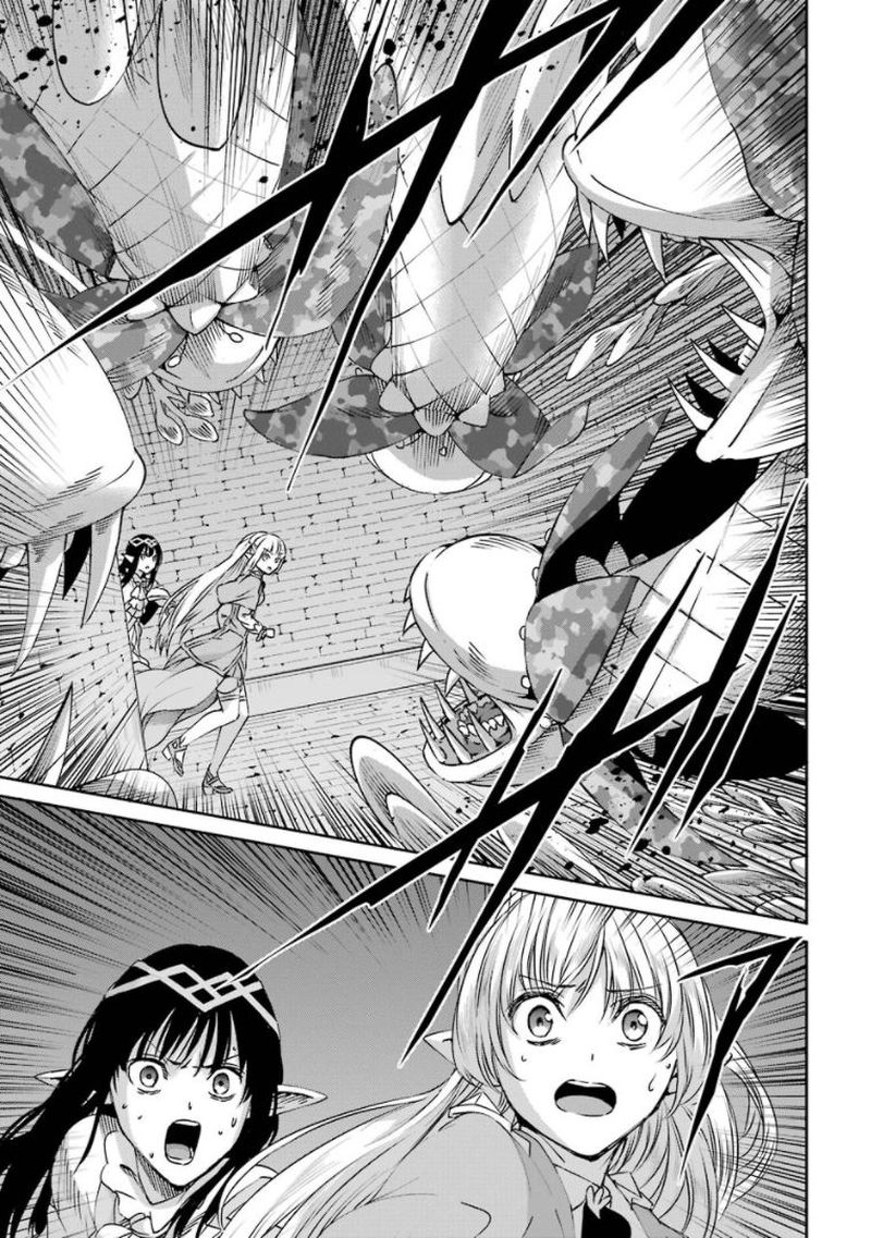 Dungeon Ni Deai Wo Motomeru No Wa Machigatte Iru Darou Ka Gaiden Sword Oratoria Chapter 68 Page 5