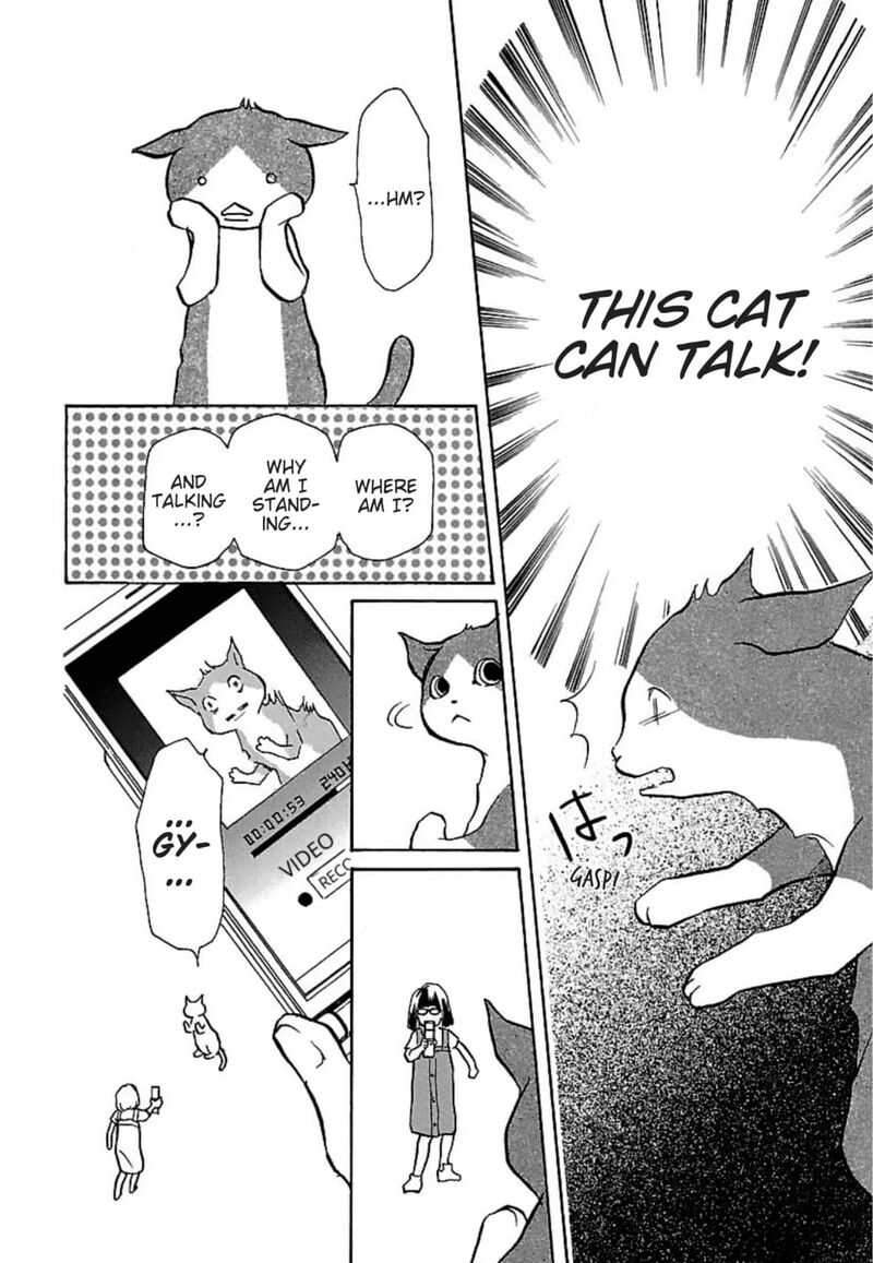 E No Shima Waikiki Shokudou Chapter 18 Page 8
