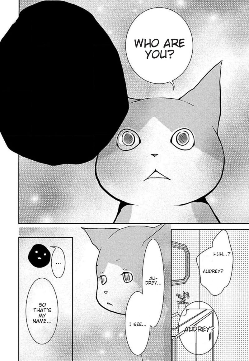 E No Shima Waikiki Shokudou Chapter 48 Page 20