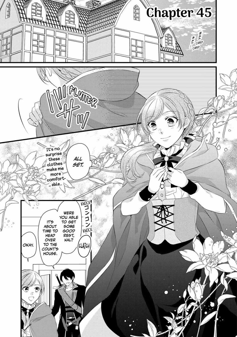 E Rank Healer Chapter 45 Page 1