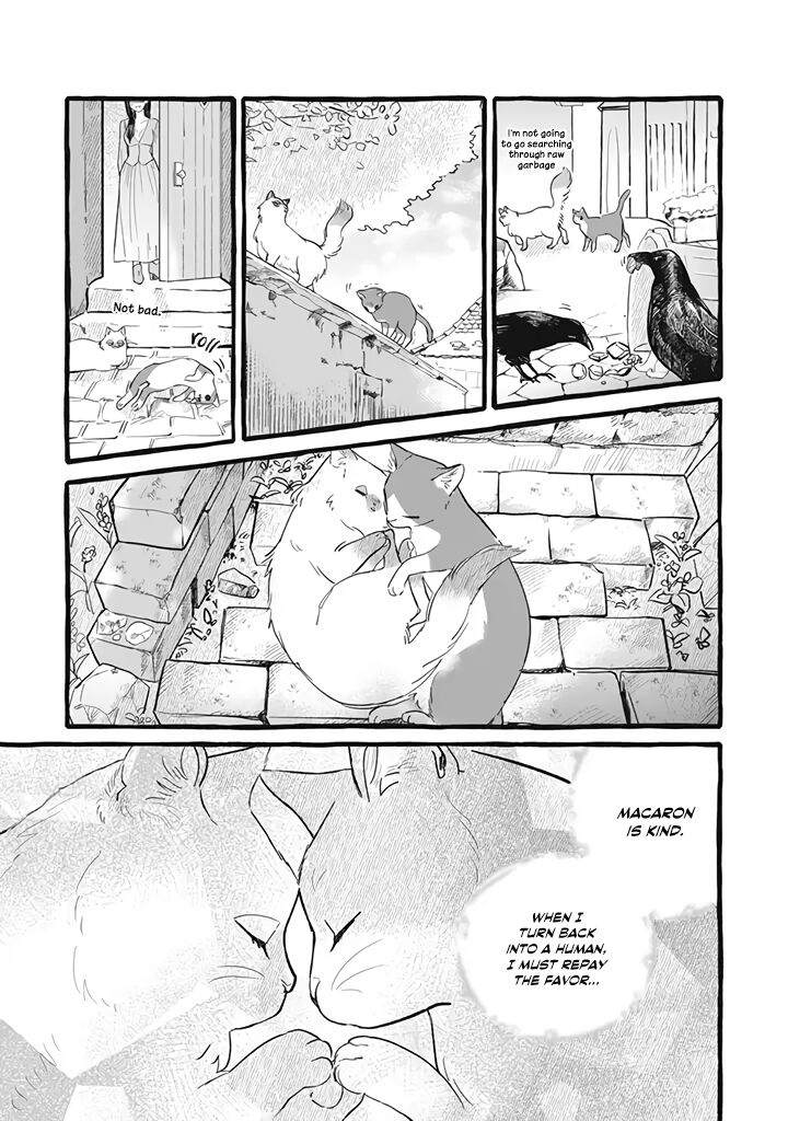 Einen Koyou Wa Kanou Deshou Ka Chapter 11 Page 7