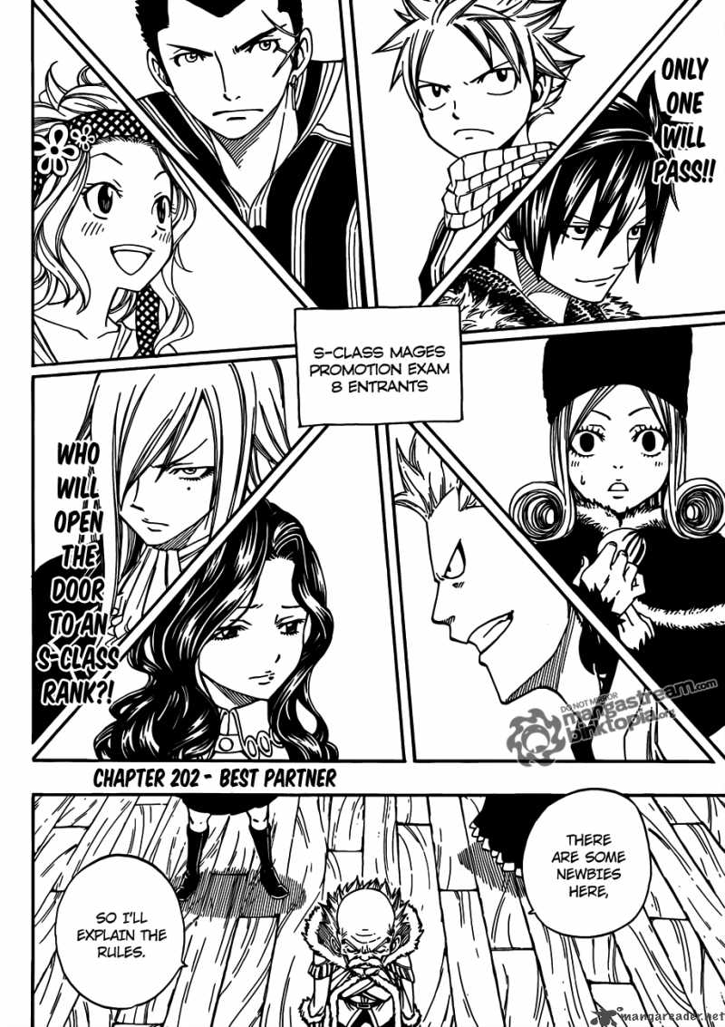 Fairy Tail Chapter 202 Page 2