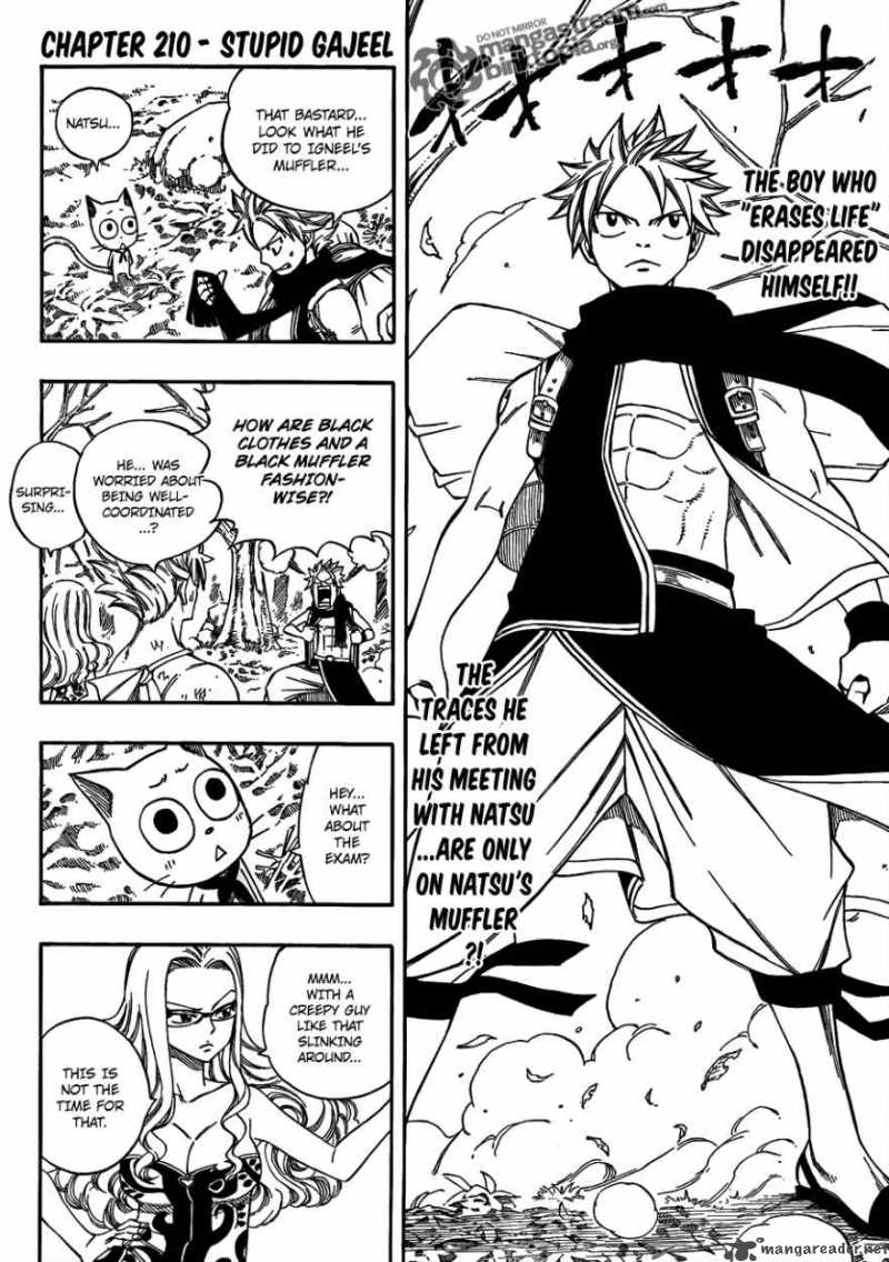 Fairy Tail Chapter 210 Page 2