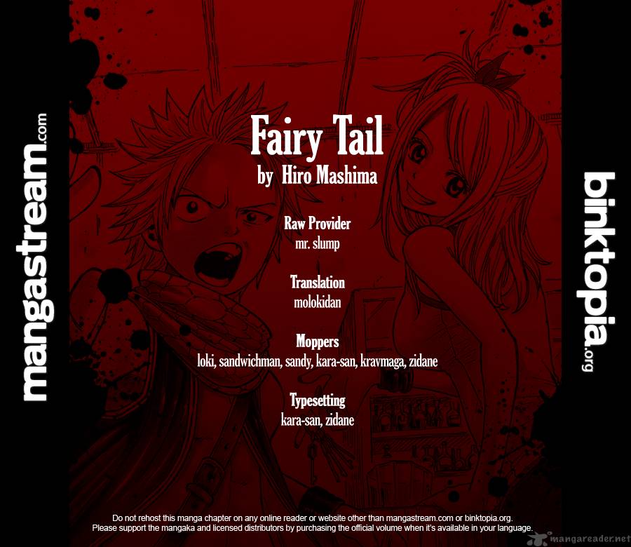 Fairy Tail Chapter 215 Page 19