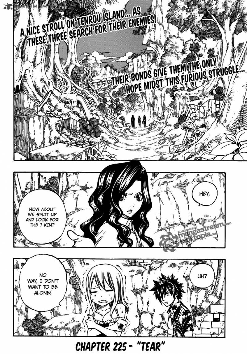 Fairy Tail Chapter 225 Page 2