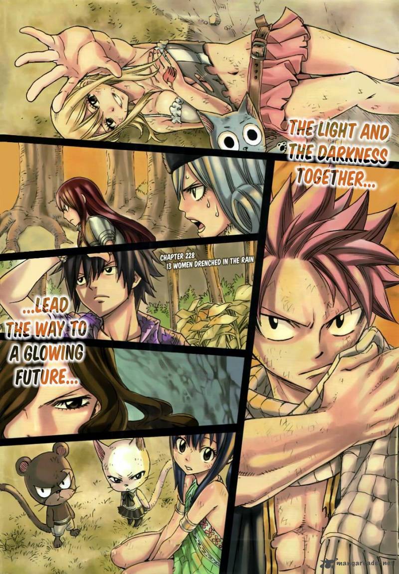 Fairy Tail Chapter 228 Page 3