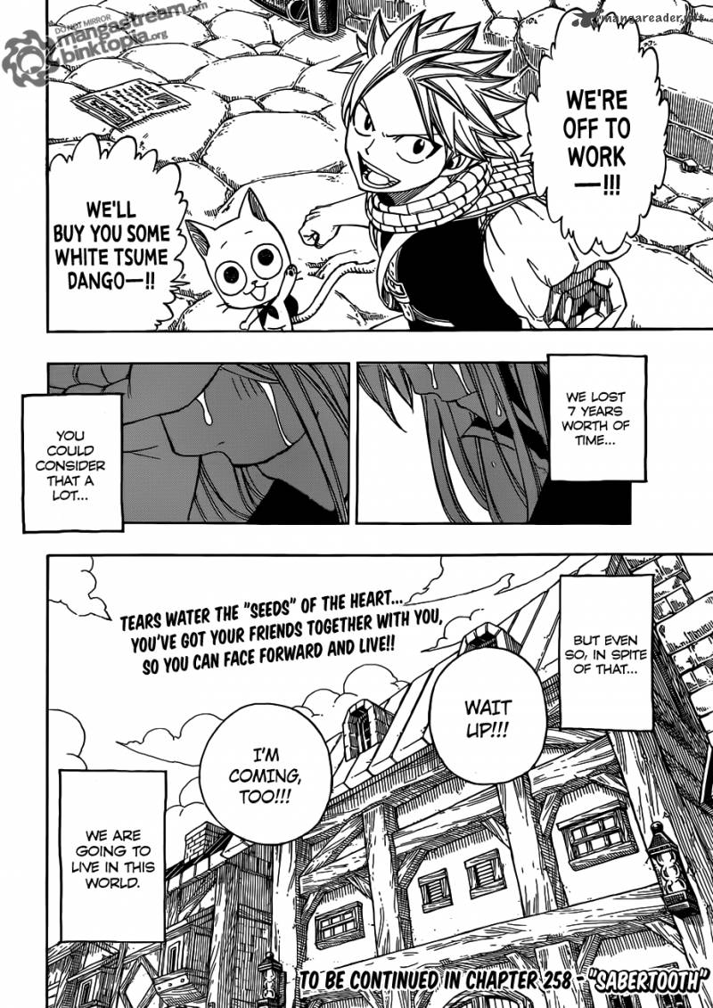 Fairy Tail Chapter 257 Page 20