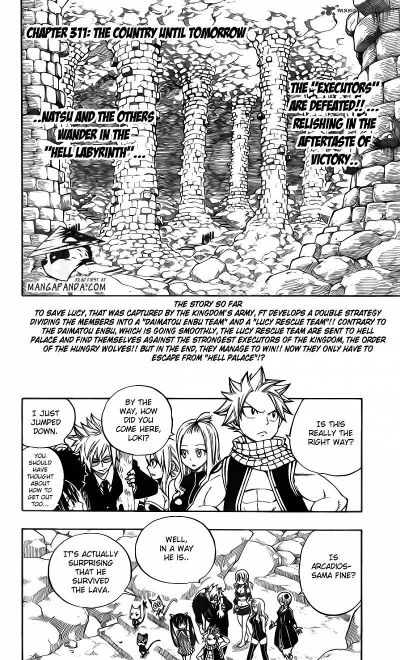 Fairy Tail Chapter 311 Page 4