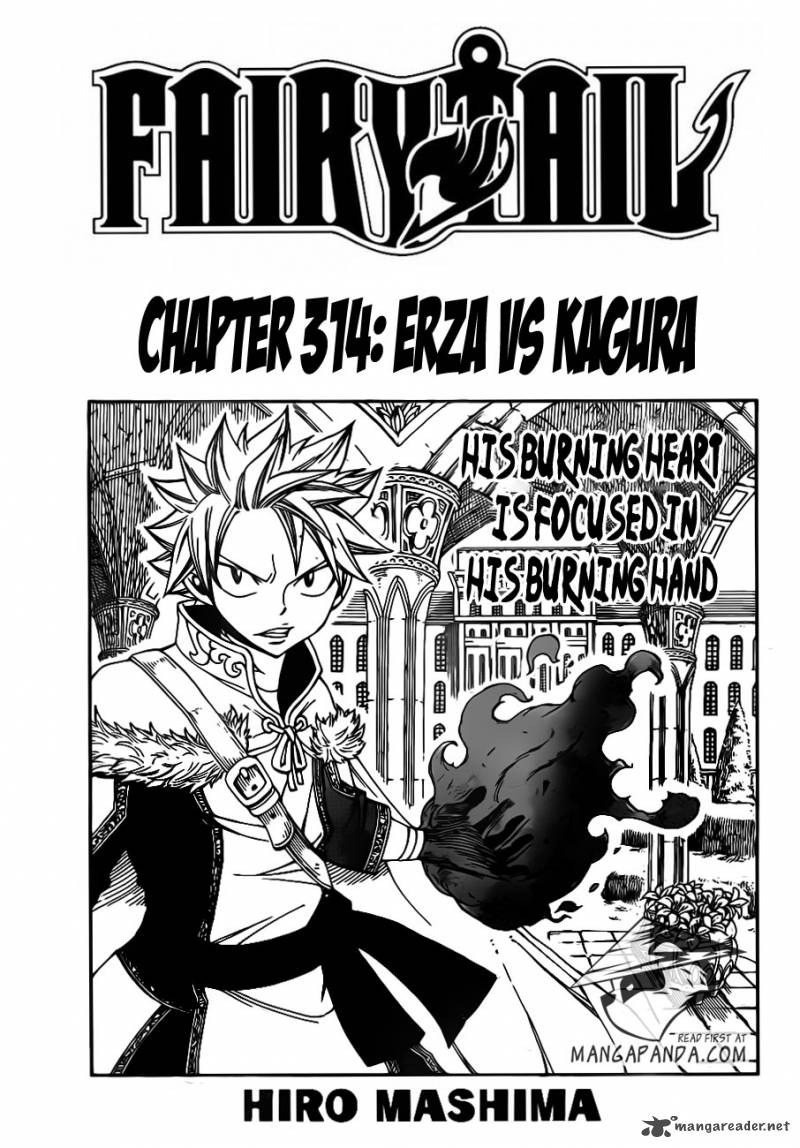 Fairy Tail Chapter 314 Page 3