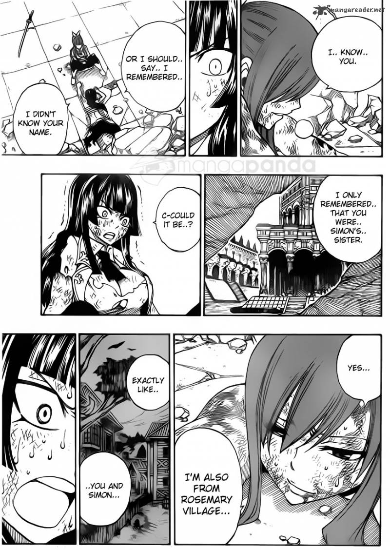 Fairy Tail Chapter 315 Page 14