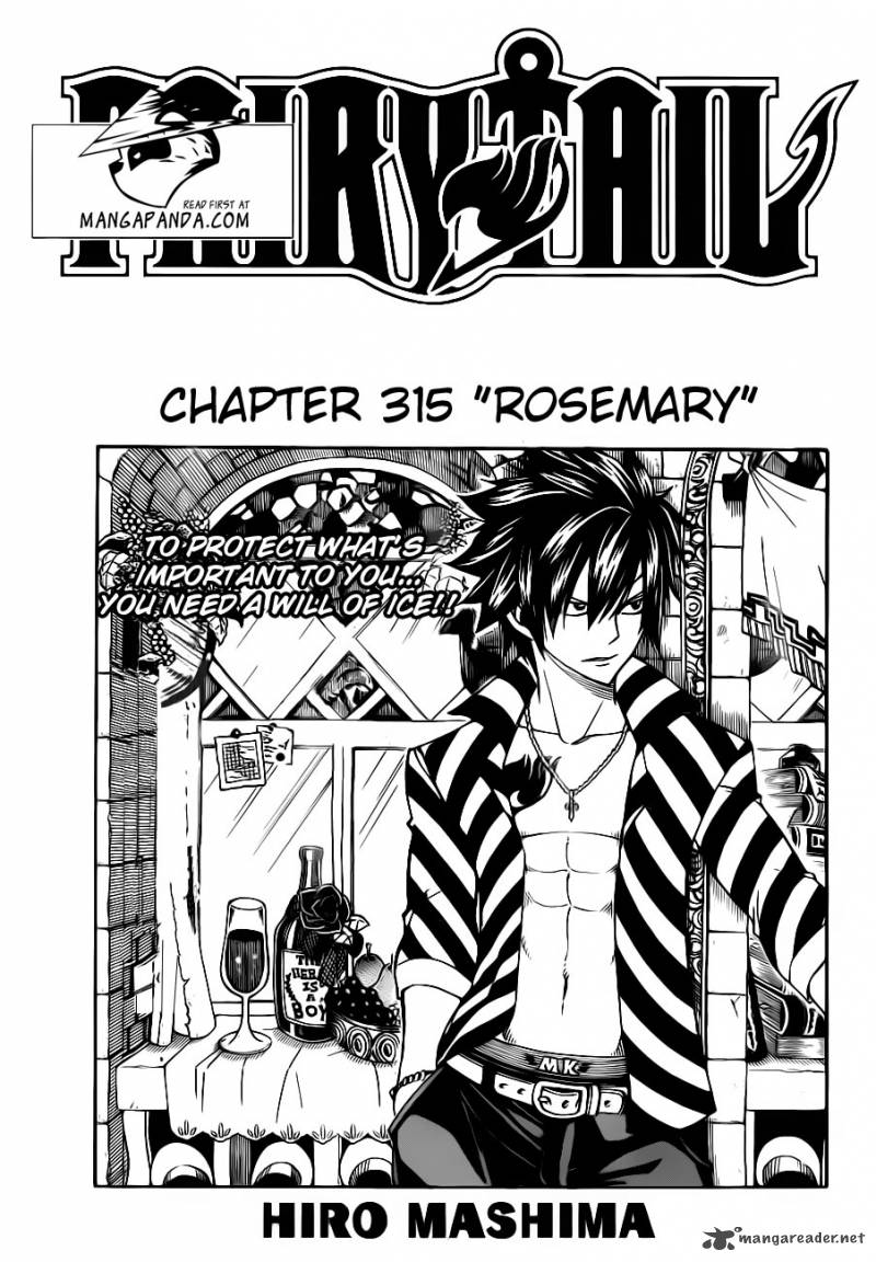 Fairy Tail Chapter 315 Page 3