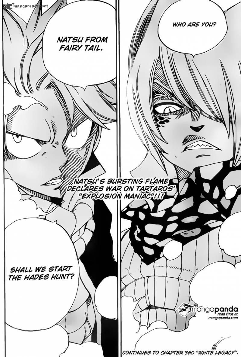 Fairy Tail Chapter 359 Page 25