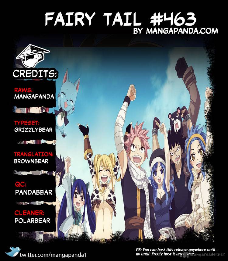 Fairy Tail Chapter 463 Page 19