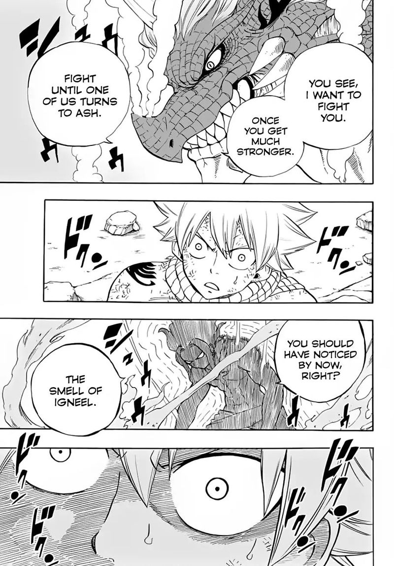 Fairy Tail 100 Years Quest Chapter 20 Page 17