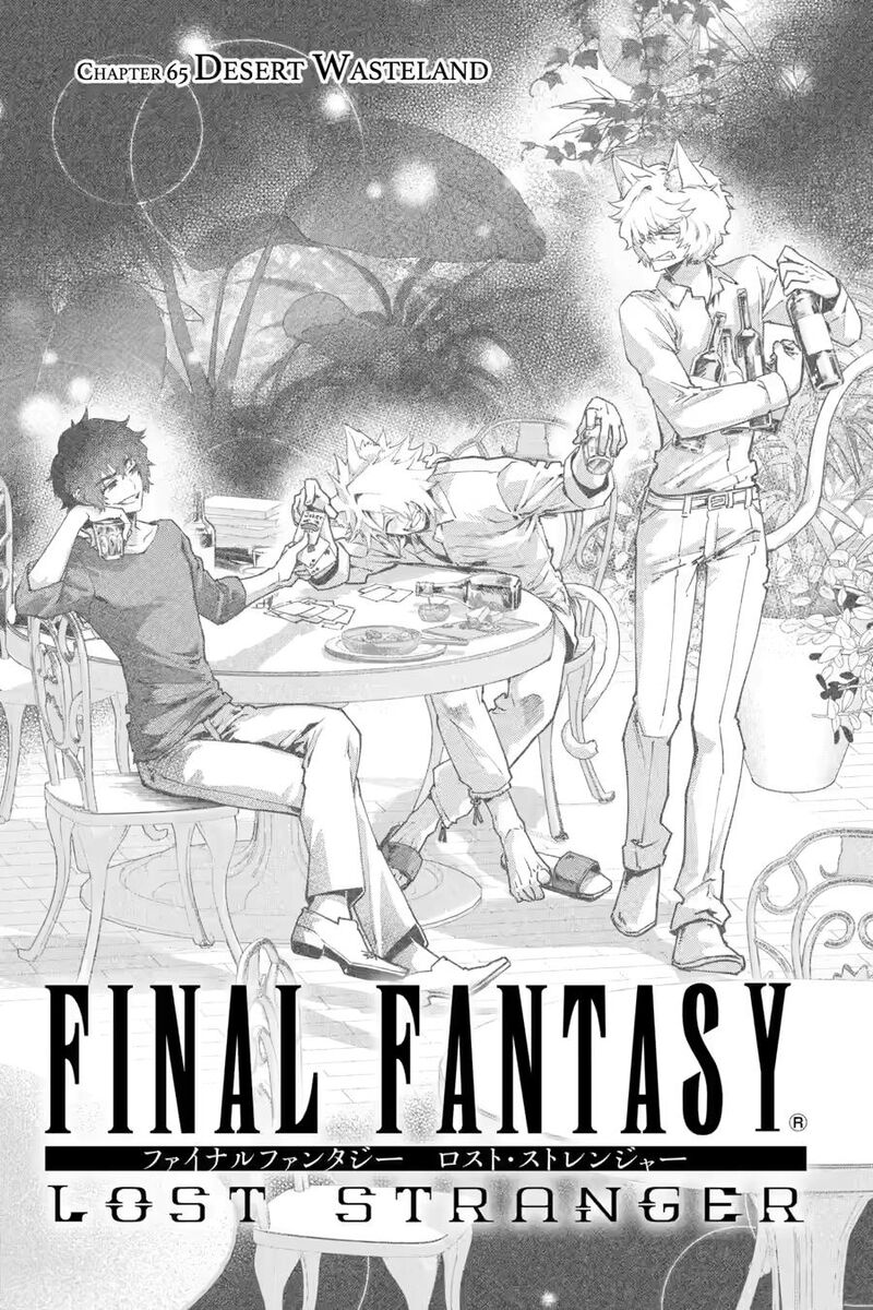 Final Fantasy Lost Stranger Chapter 65 Page 3