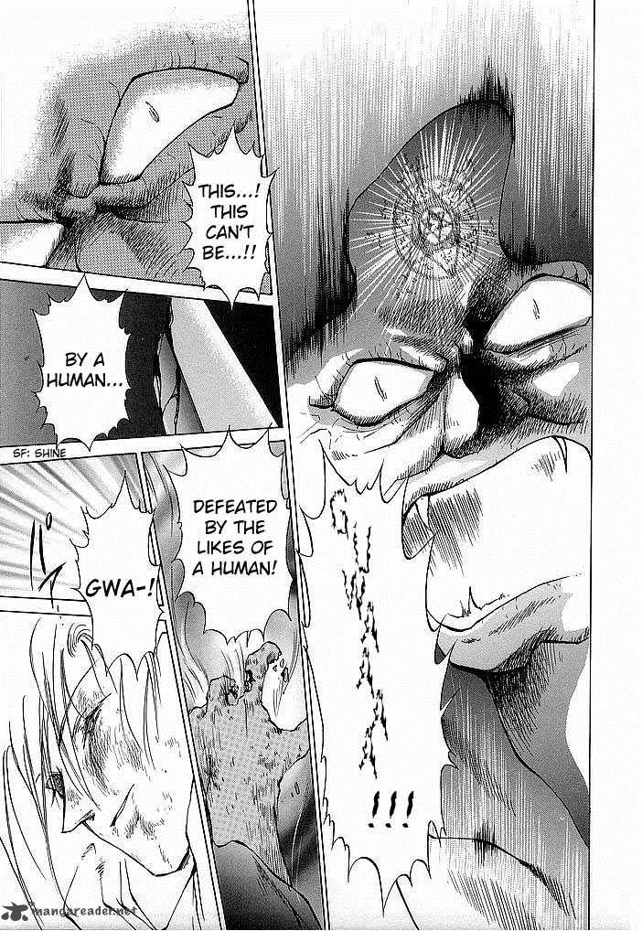 Fire Emblem Ankokuryuu To Hikari No Ken Chapter 34 Page 29