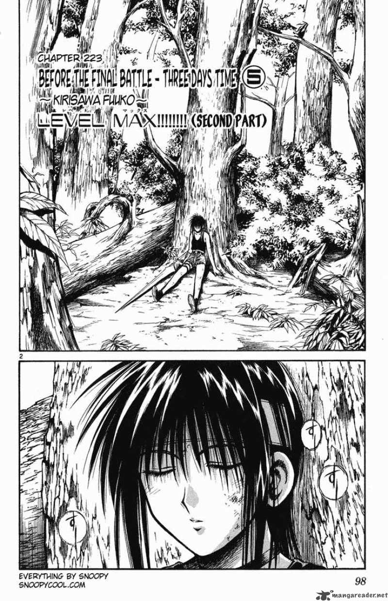 Flame Of Recca Chapter 224 Page 2