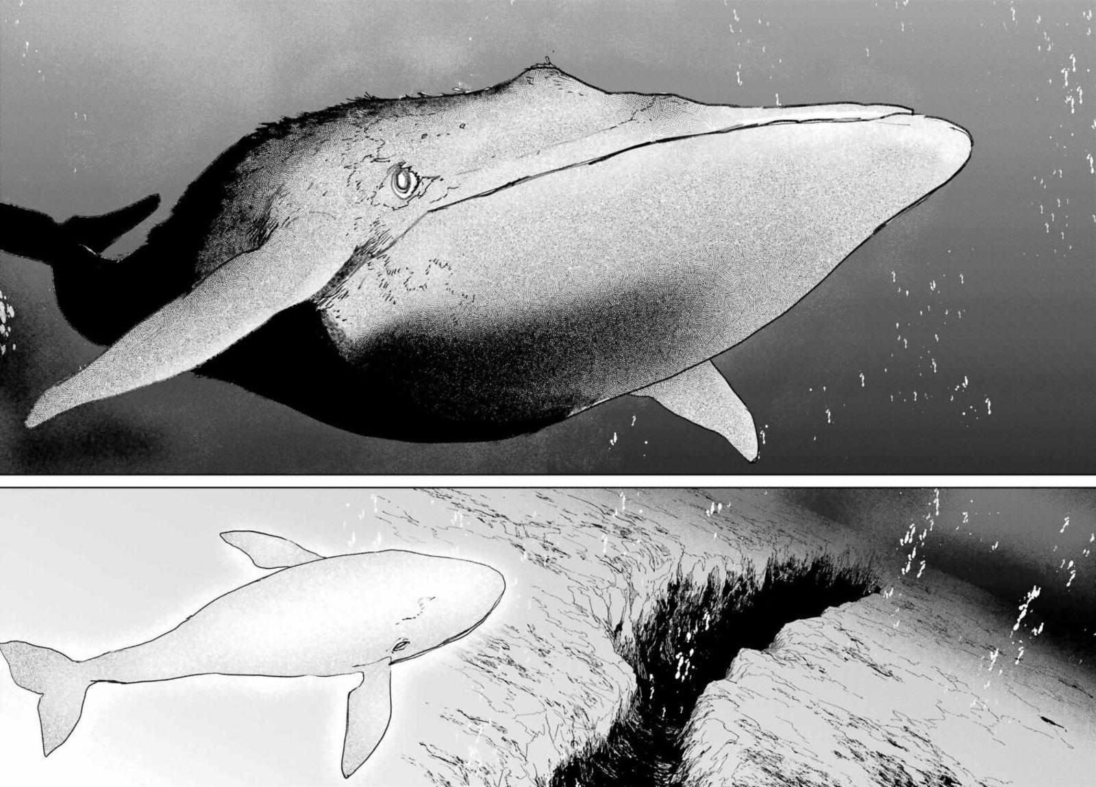 Gakuen Sensuikan Tai Mermaid Girls Chapter 15 Page 13