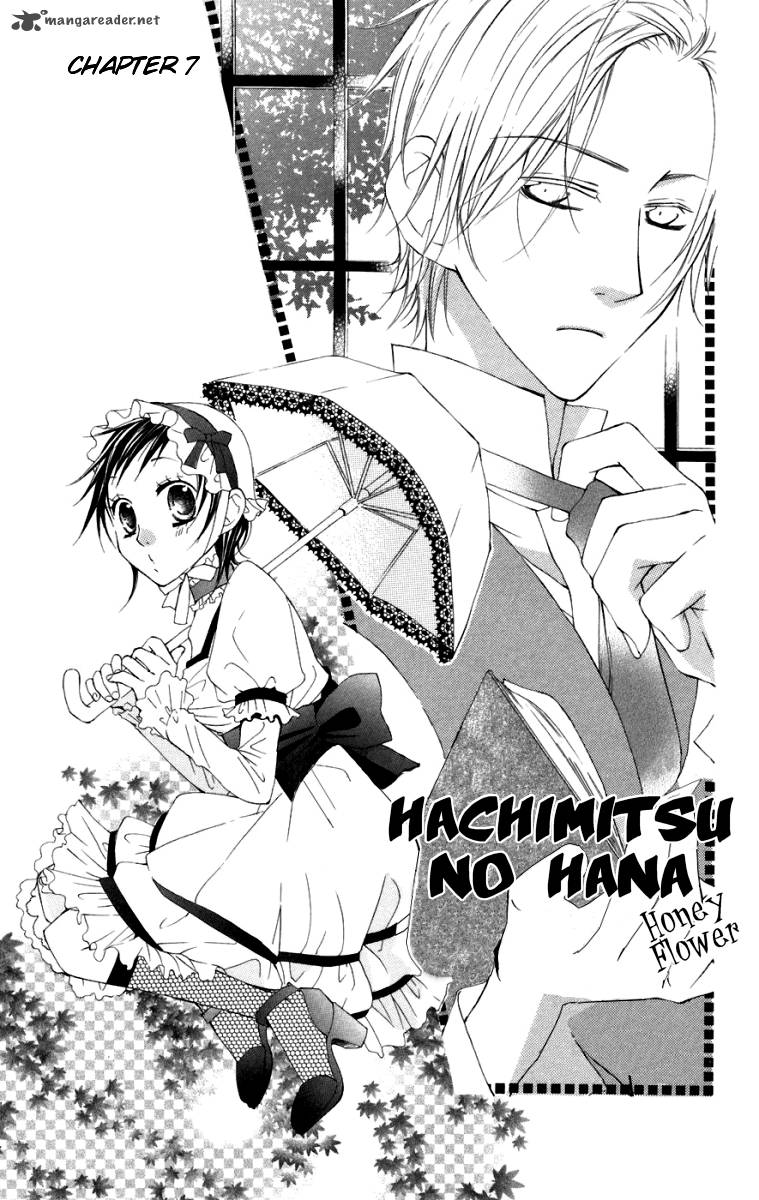 Hachimitsu No Hana Chapter 7 Page 3