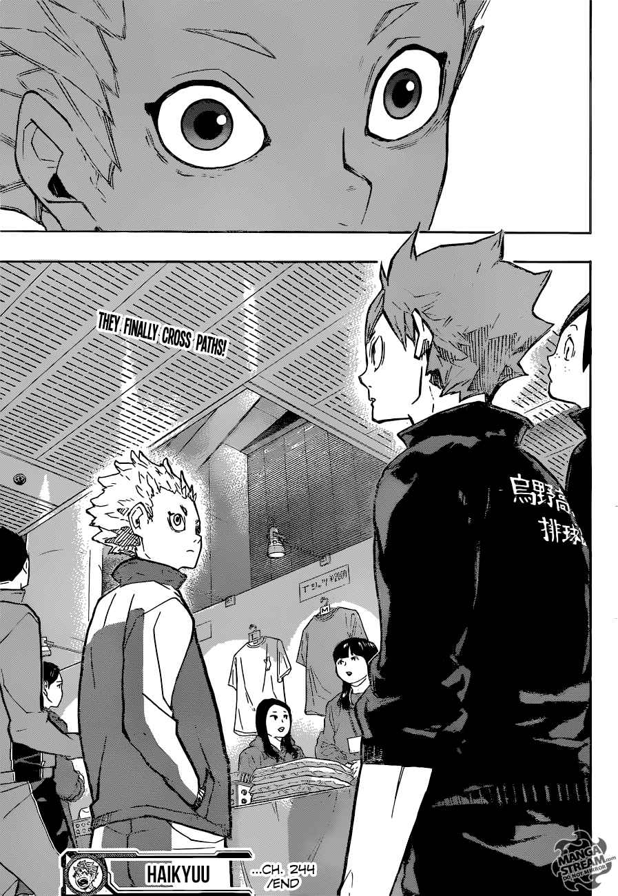 Haikyu Chapter 244 Page 19