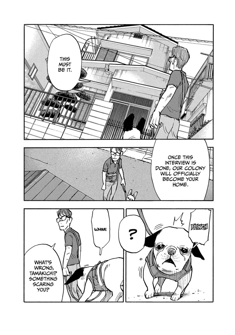 Heiwa No Kuni No Shimazaki E Chapter 16 Page 6