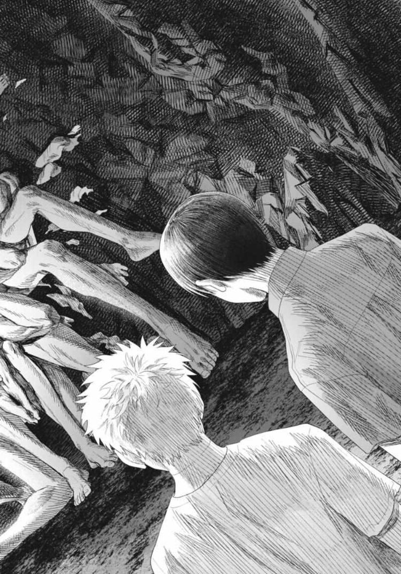 Hikaru Ga Shinda Natsu Chapter 31c Page 8