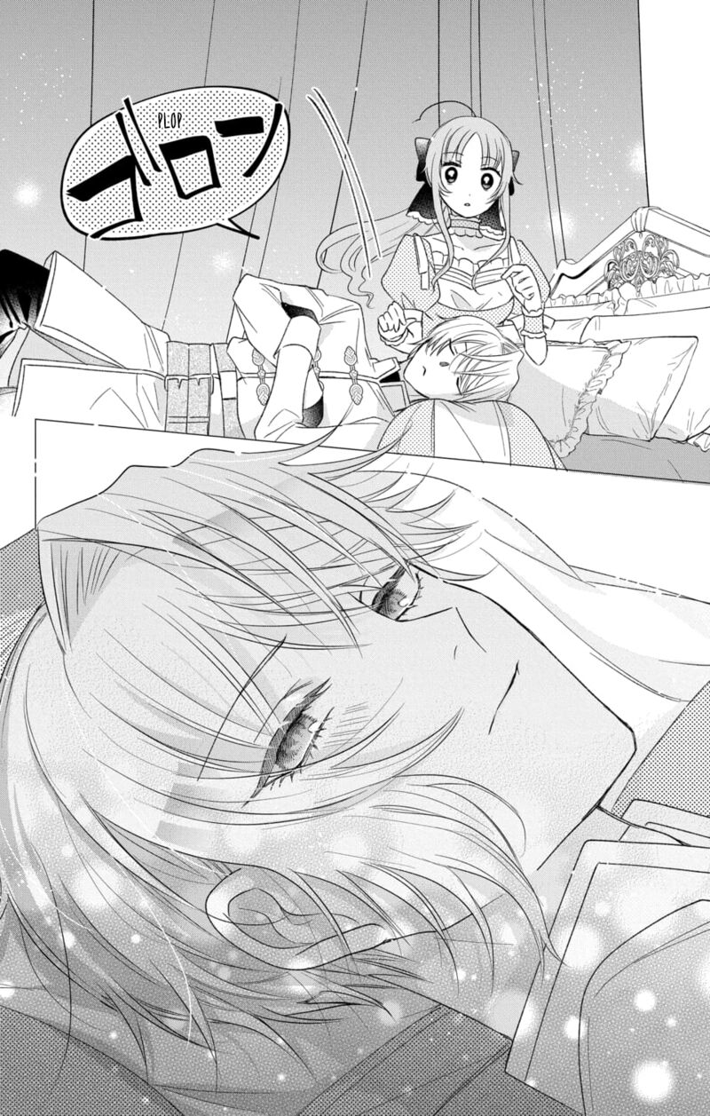 Hikikomori Hime To Dokuzetsu Kishi Sama Chapter 2 Page 39
