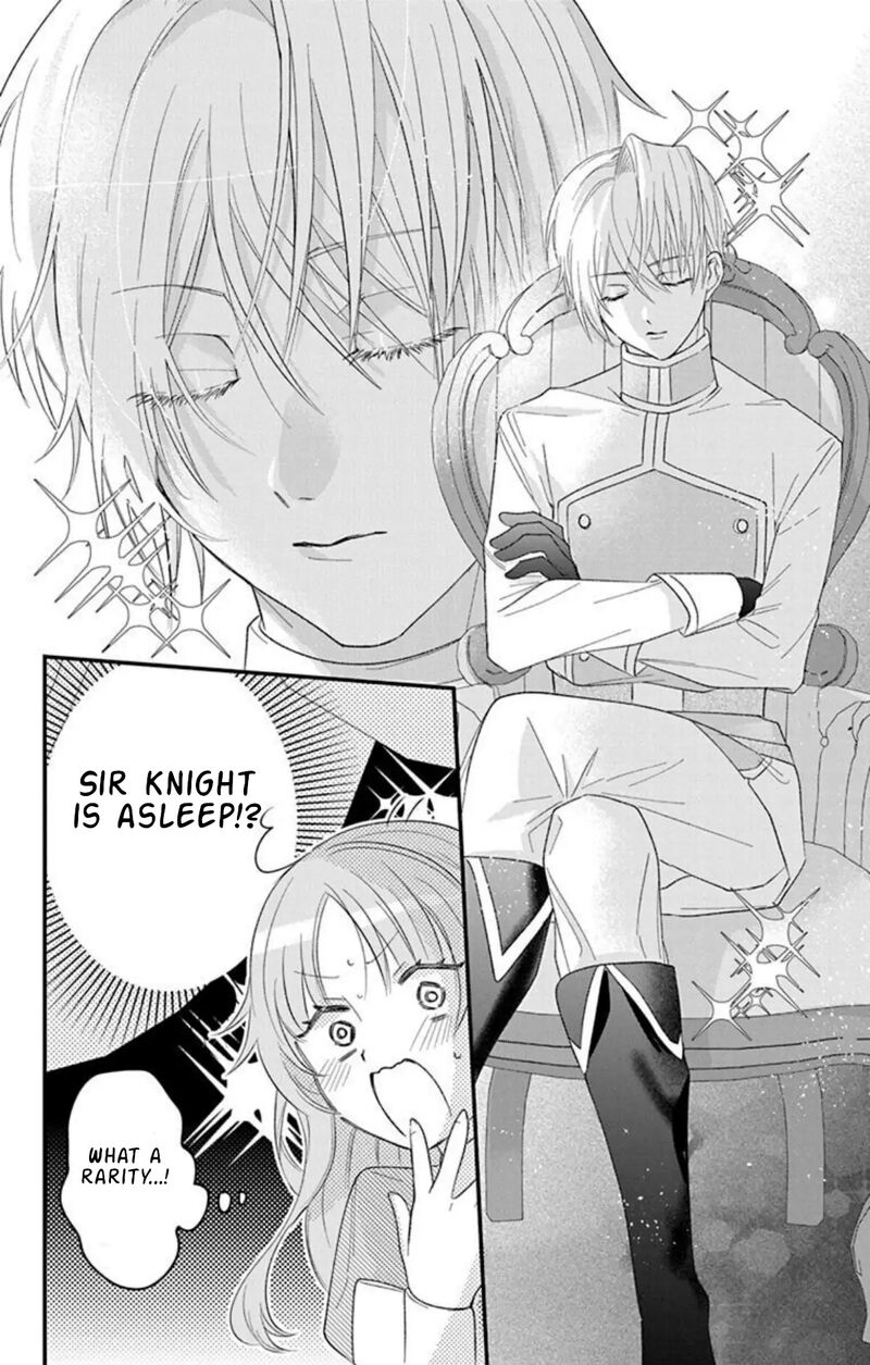 Hikikomori Hime To Dokuzetsu Kishi Sama Chapter 25 Page 17