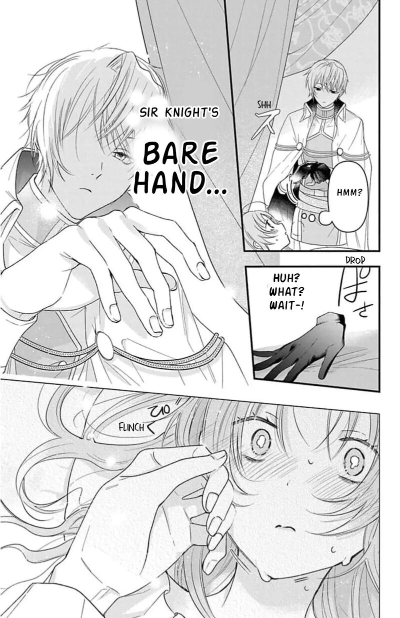 Hikikomori Hime To Dokuzetsu Kishi Sama Chapter 4 Page 17