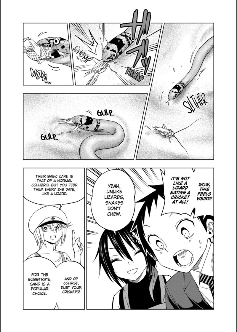 Himitsu No Reptiles Chapter 104 Page 13