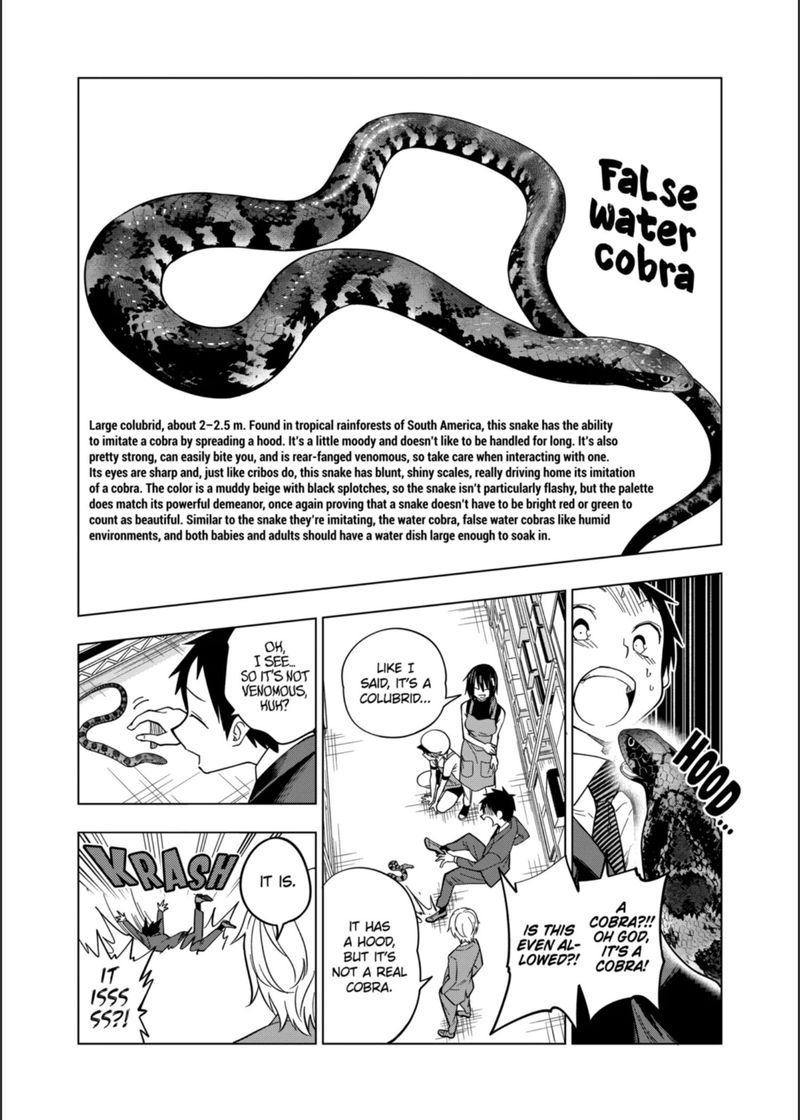 Himitsu No Reptiles Chapter 104 Page 18